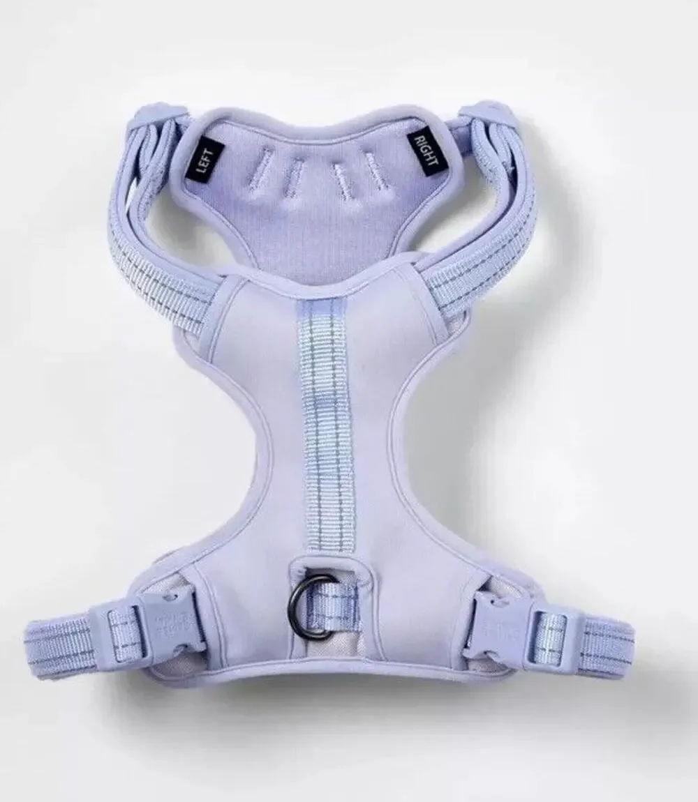 Boots & Barkley Comfort + Reflective Webbing Harness6ft Dog Leash Lilac - XS/S